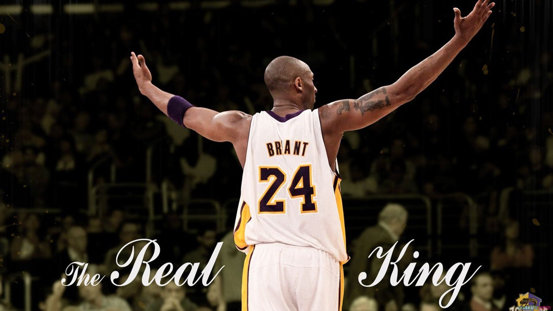 欧冠“明星制造机”，那些在比赛中爆红的球员，欧冠有哪些明星